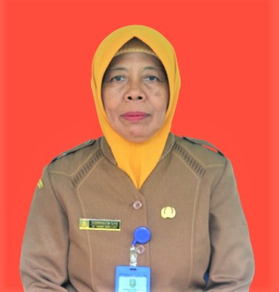 Dummy Guru 4